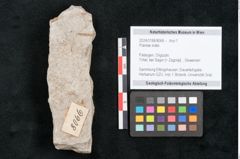 Foto (Objekt + Etikett) von Plantae indet.  (NHMW-GEO-2024-0188-8066)